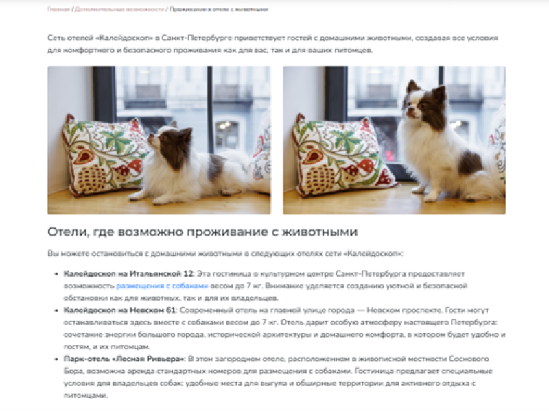 Пример посадочной страницы по запросу "Отель, где можно с собакой"