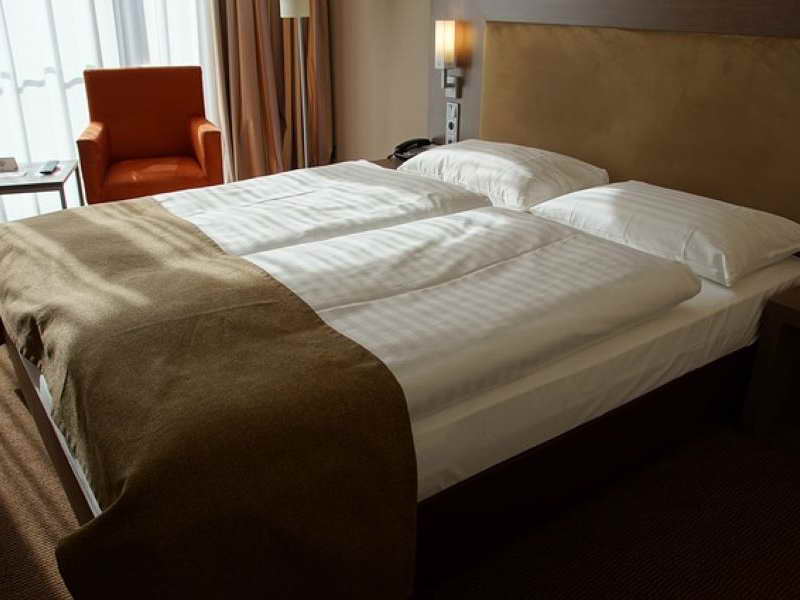 Чистка меховых изделий в Долорес Брянск